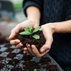 Работы в огроде в апреле 2025