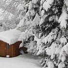 Готовимся к посевному сезону: важные садовые работы в феврале